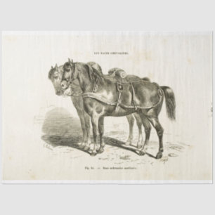 Horses Ephemera Decoupage Vintage French  Tissue P Paper