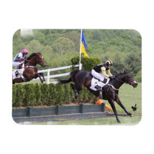 Horses Eventing Premium Magnet