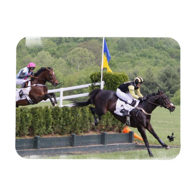 Horses Eventing  Premium Magnet (Horizontal)