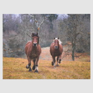 Horses Galloping Decoupage Tissue Paper