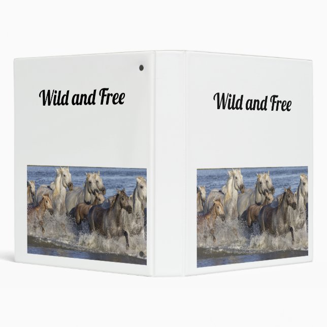 Horses galloping in the water binder (Background)