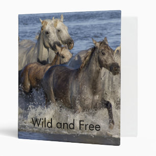 Horses galloping in the water binder