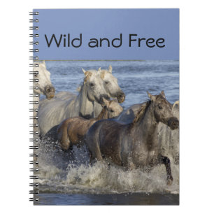 Horses galloping in the water notebook