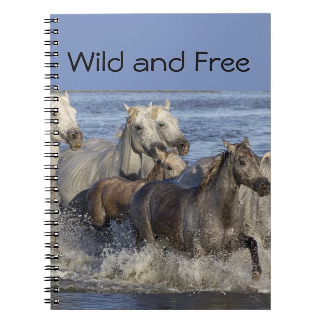 Horses galloping in the water notebook (Front)
