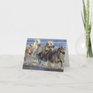 Horses galloping in the water thank you card