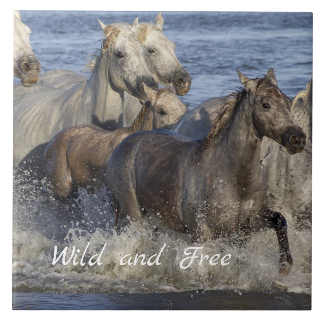 Horses galloping in the water tile (Front)