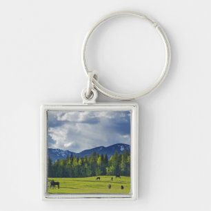 Horses graze in pasture near Whitefish, Keychain