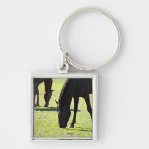 Horses grazing 2 keychain
