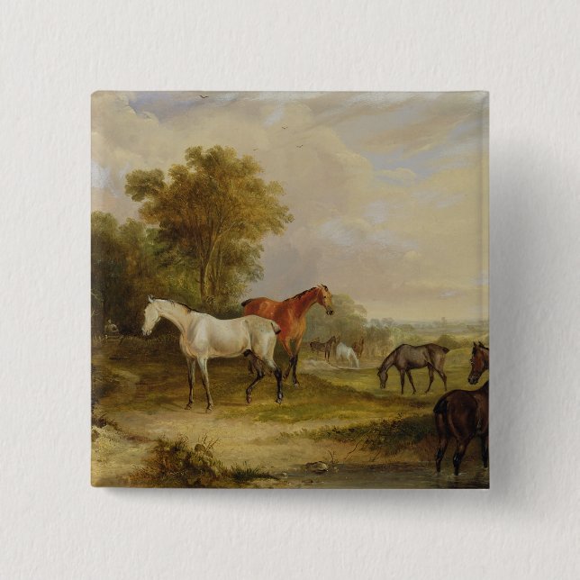 Horses Grazing: A Grey Stallion grazing with Mares 2 Inch Square Button (Front)