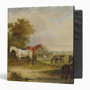 Horses Grazing: A Grey Stallion grazing with Mares Binder