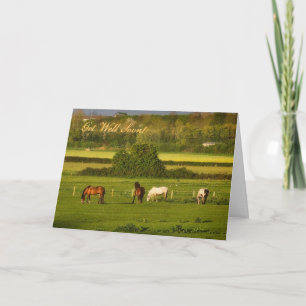 Horses grazing at Bower Hinton, Get Well Soon Card