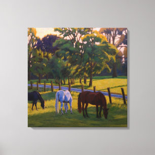 Horses Grazing in Beautiful Countryside Canvas Print