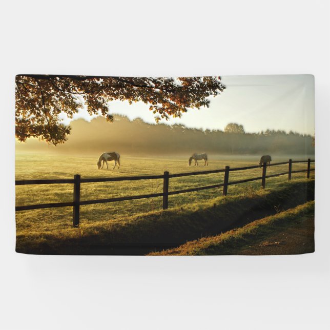 Horses Grazing in Sunrise Pasture Banner (Horizontal)
