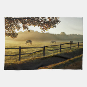 Horses Grazing in Sunrise Pasture Kitchen Towel