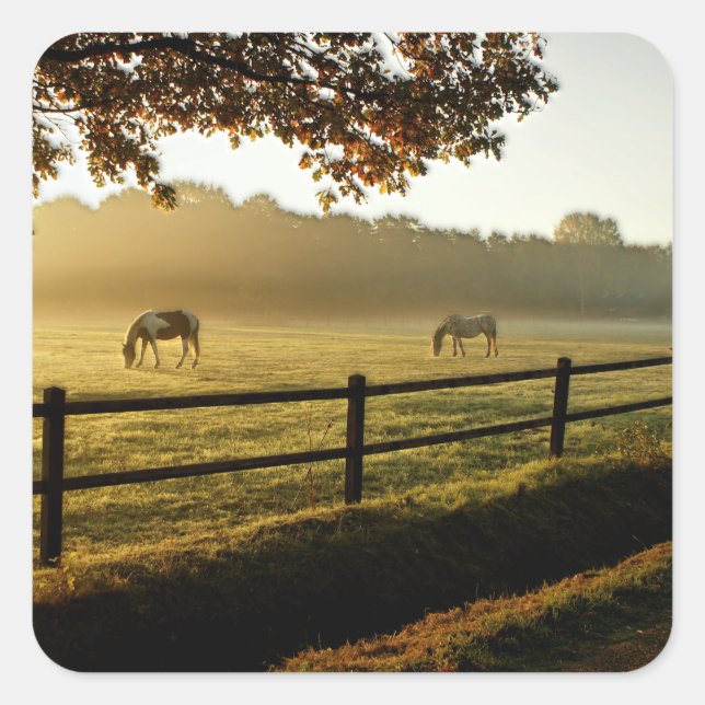 Horses Grazing in Sunrise Pasture Square Sticker (Front)
