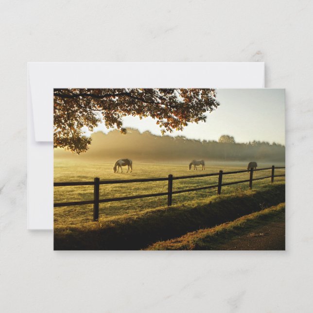 Horses Grazing in Sunrise Pasture Thank You Card (Front)