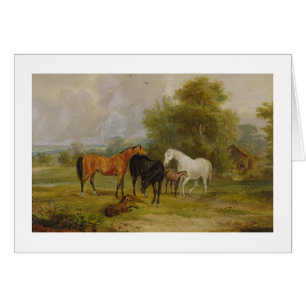 Horses Grazing: Mares and Foals in a Field (oil on