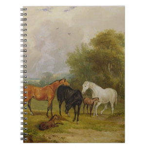 Horses Grazing: Mares and Foals in a Field (oil on Notebook
