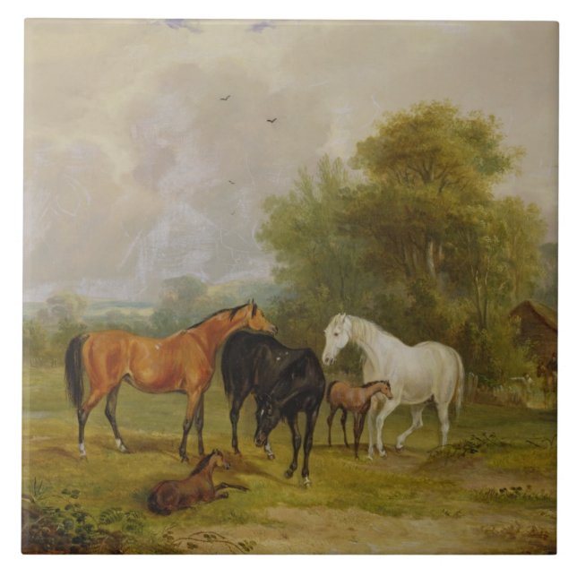 Horses Grazing: Mares and Foals in a Field (oil on Tile (Front)