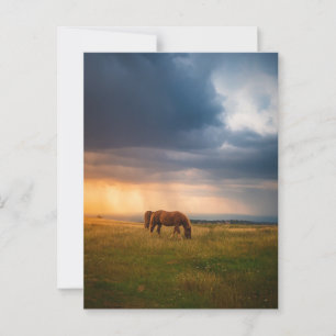 Horses grazing on stormy day postcard