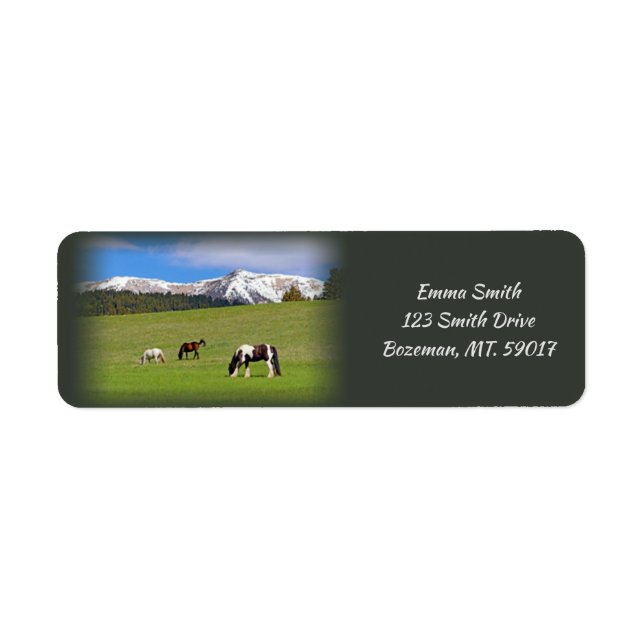 Horses Grazing return address (Front)