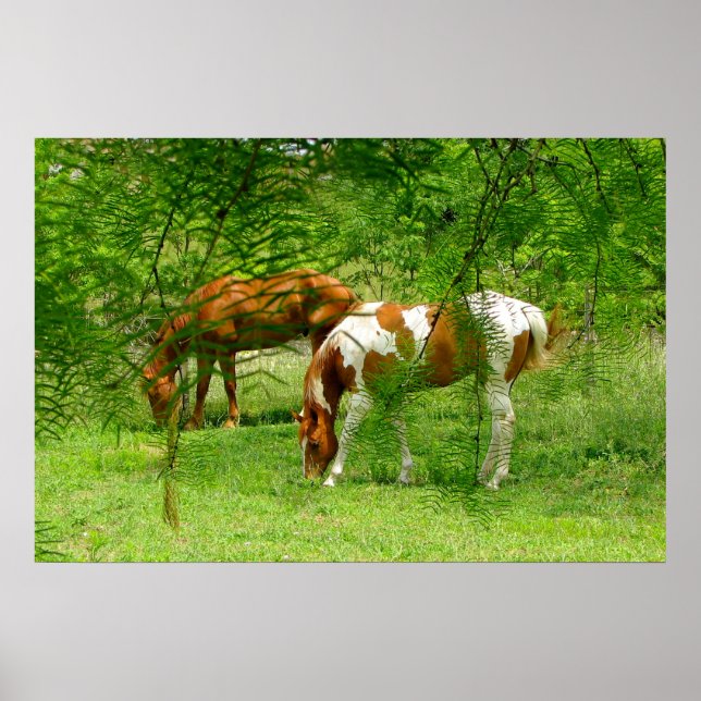 Horses Green Leaves 11 x 85 Poster (Front)