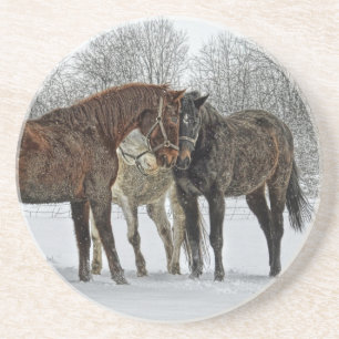 Horses Having a Meeting in Snow Coaster