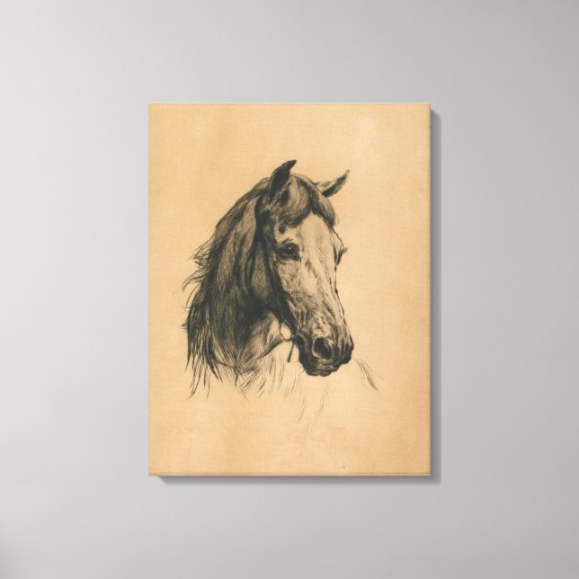 Horse's Head (by Heywood Hardy) Canvas Print (Front)