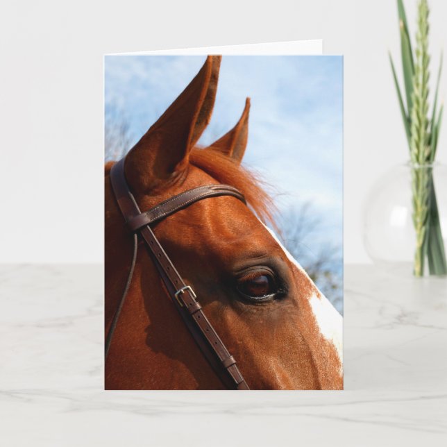 Horse's Head Photo Greeting Card (Front)