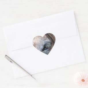 HORSES HEART STICKER
