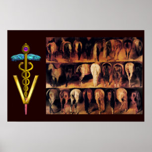 Horses' Hindquarter / CADUCEUS VETERINARY SYMBOL Poster
