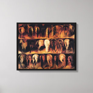Horses' Hindquarters Canvas Print