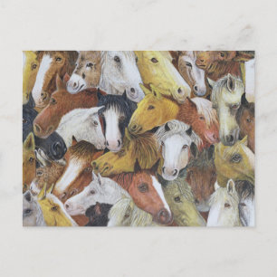 Horses Horses Postcard