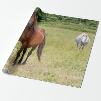 Horses in a field wrapping paper