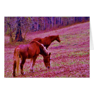 Horses in a lavender purple pink field,