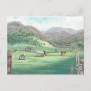“Horses in a Pasture.” Postcard