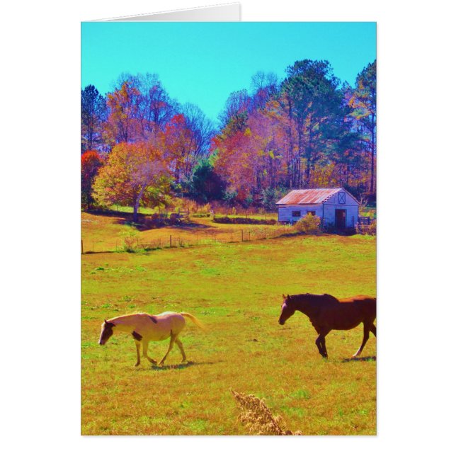 Horses in a Rainbow Coloured Field (Front)