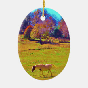 Horses in a Rainbow Coloured Field Ceramic Ornament