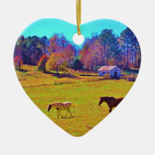 Horses in a Rainbow Coloured Field Ceramic Ornament (Front)