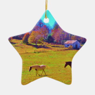 Horses in a Rainbow Coloured Field Ceramic Ornament