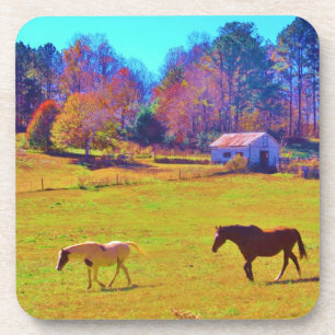 Horses in a Rainbow Coloured Field Coaster
