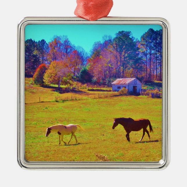 Horses in a Rainbow Coloured Field Metal Ornament (Front)