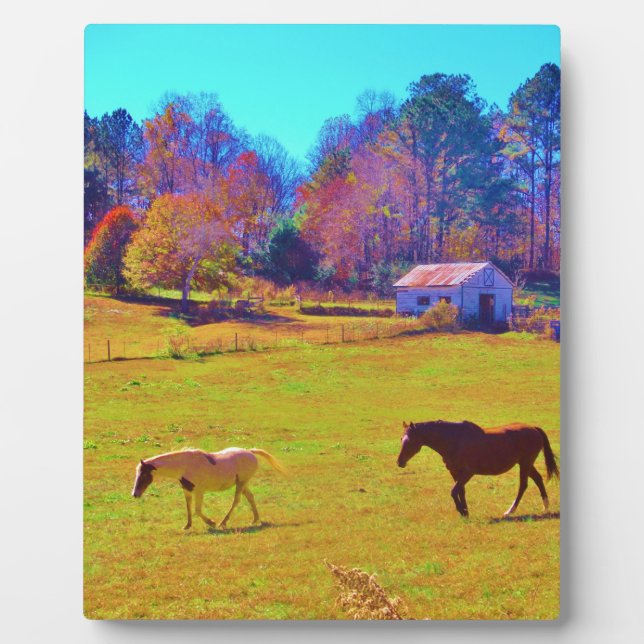 Horses in a Rainbow Coloured Field Plaque (Front)