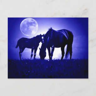 Horses in Blue Night Postcard