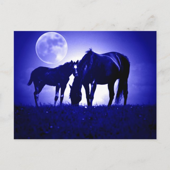 Horses in Blue Night Postcard (Front)