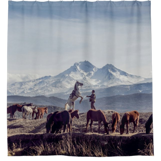 HORSES IN BROWN OPEN FIELD VIEWING MOUNTAIN AT DAY (Front)