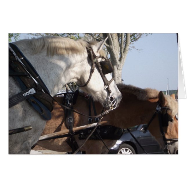 Horses in Harness (Front Horizontal)