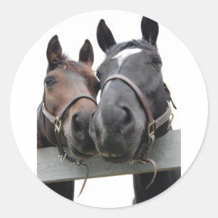 Horses in Love Classic Round Sticker
