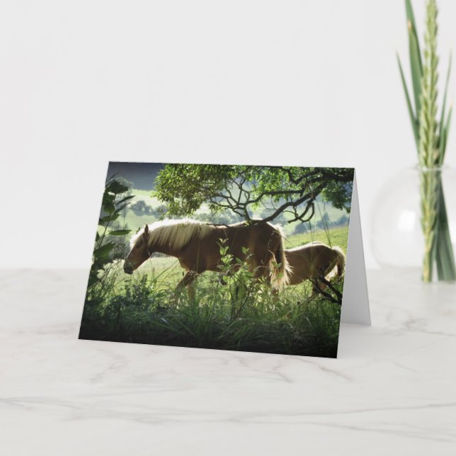 Horses In Meadow Card (Front)