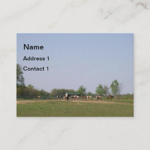 Horses in Nature Business Card